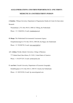 AGGLOMERATIONS AND FIRM PERFORMANCE: ONE FIRM`S