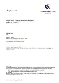 Energy Optimal Control of Induction Motor Drives