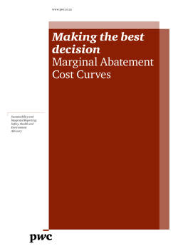 Making the best decision Marginal Abatement Cost Curves