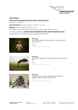 PIETER HUGO. BETWEEN THE DEVIL AND THE DEEP BLUE SEA