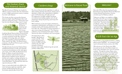Round Pond brochure 7.indd