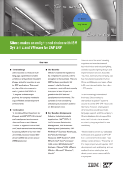 Siteco makes an enlightened choice with IBM System x and VMware