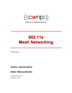 802.11s Mesh Networking