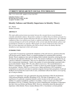 Identity Salience and Identity Importance in Identity Theory