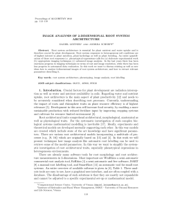 IMAGE ANALYSIS OF 2-DIMENSIONAL ROOT SYSTEM