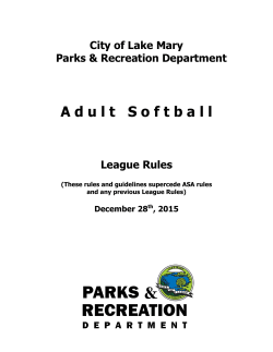 Softball League Rules