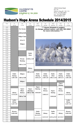 Pre Novice 8:30 to 9:45 Midget Game 10 to 12 Midgets Public Skate