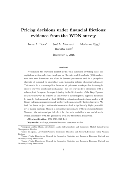 Pricing decisions under financial frictions