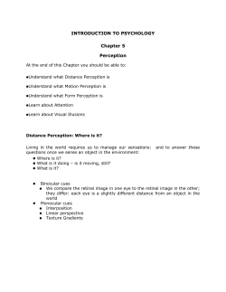 Perception - Business Information Management