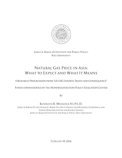 Natural Gas Price in Asia - Rice University`s Baker Institute for Public