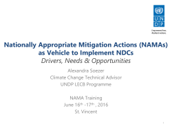 Nationally Appropriate Mitigation Actions (NAMAs)