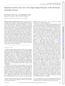 Dopamine Increases the Gain of the Input
