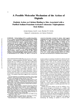 A Possible Molecular Mechanism of the Action of Digitalis