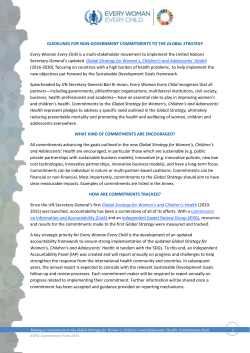 guidelines for non-government commitments to the global strategy
