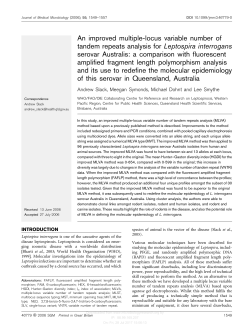 An improved multiple-locus variable number of tandem repeats