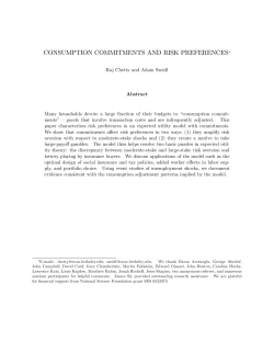 consumption commitments and risk preferences
