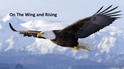 they shall deceive the very elect