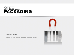 Steel: the recycling champion