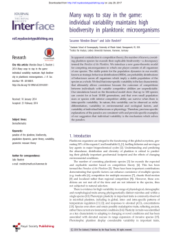 Many ways to stay in the game: individual variability maintains high