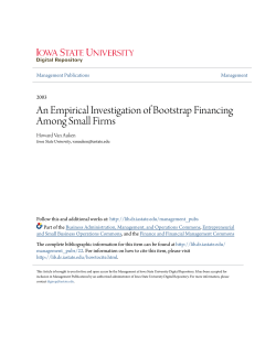 An Empirical Investigation of Bootstrap Financing Among Small Firms