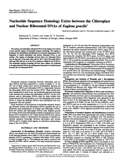 Nucleotide Sequence Homology Exists between the Chloroplast