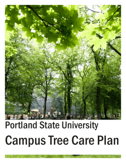 Campus Tree Care Plan - Portland State University