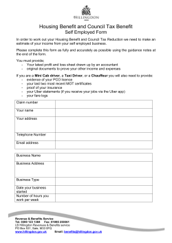 Self Employed pro forma