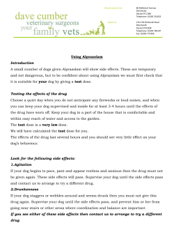 Using Alprazolam Introduction A small number of dogs given