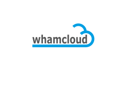 whamcloud Leveraging Lustre to address I/O