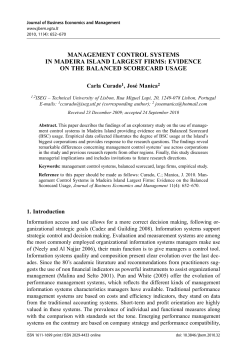 management control systems in madeira island largest firms