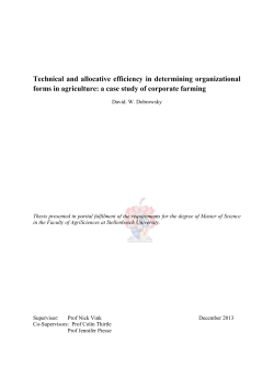 Technical and Allocative Efficiency in Determining Organizational