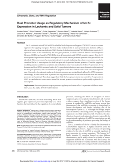 Dual Promoter Usage as Regulatory Mechanism of let