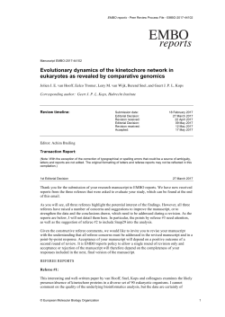 Evolutionary dynamics of the kinetochore network