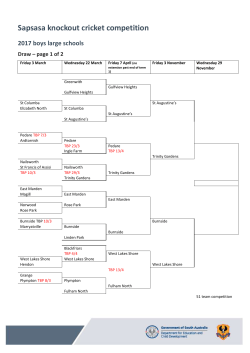 Sapsasa cricket knockout boys large schools