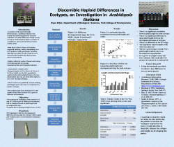 Pater - York College of Pennsylvania