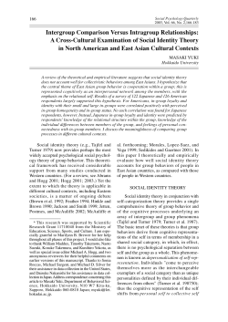 A Cross-Cultural Examination of Social Identity Theory in North