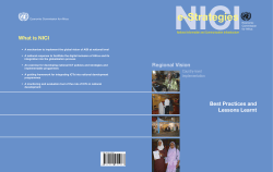 e-Strategies - Best Practices and Lessons Learnt