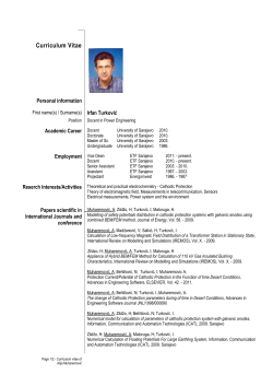 Curriculum Vitae