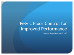 Pelvic Floor Dance - New Heights Performance Physical Therapy