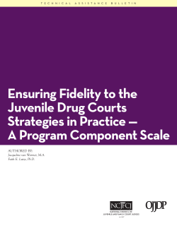 Ensuring Fidelity to the Juvenile Drug Courts Strategies in Practice