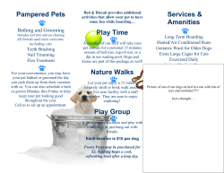 Pampered Pets Play Time Nature Walks Play