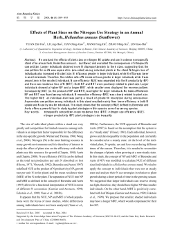 Effects of Plant Sizes on the Nitrogen Use Strategy in an Annual