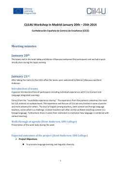 CLIL4U Workshop in Madrid - Minutes