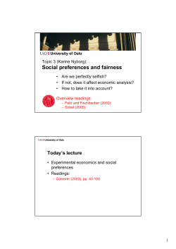 Social preferences and fairness