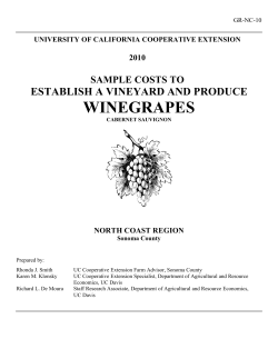 sample costs to establish a vineyard and