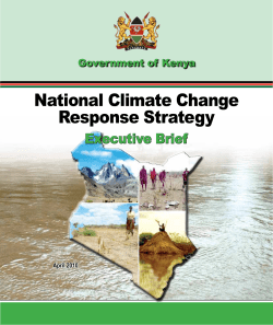 National Climate Change Response Strategy