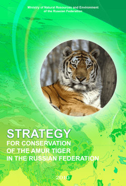 Strategy for conservation of the Amur Tiger in the Russian Federation