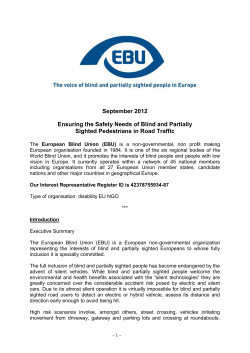 Ensuring the Safety Needs of Blind and Partially Sighted