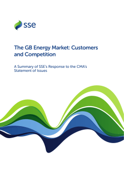 The GB Energy Market: Customers and Competition
