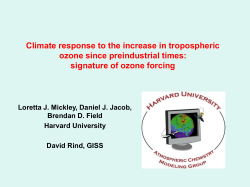 Climate response to the increase in tropospheric ozone since